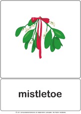 Bildkarte - mistletoe.pdf